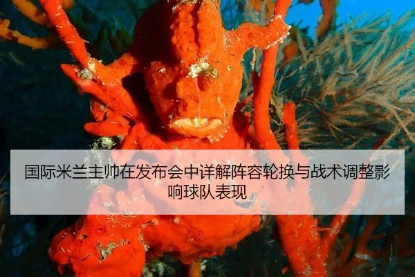 国际米兰主帅在发布会中详解阵容轮换与战术调整影响球队表现